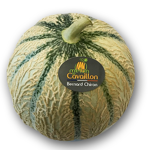 cagette melons Cavaillon